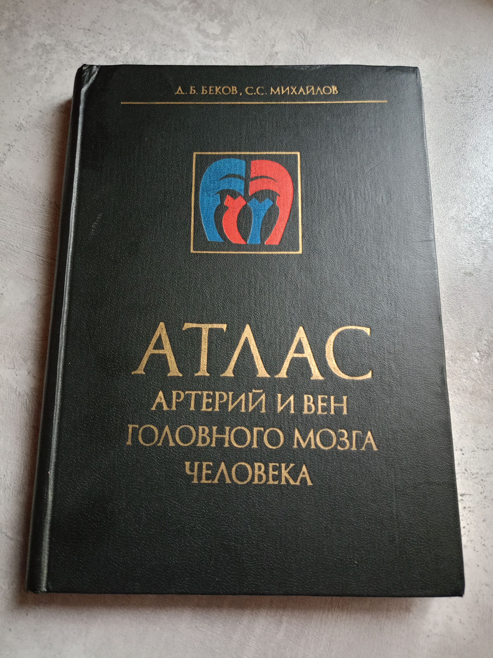 Атлас артерий и вен головного мозга человека