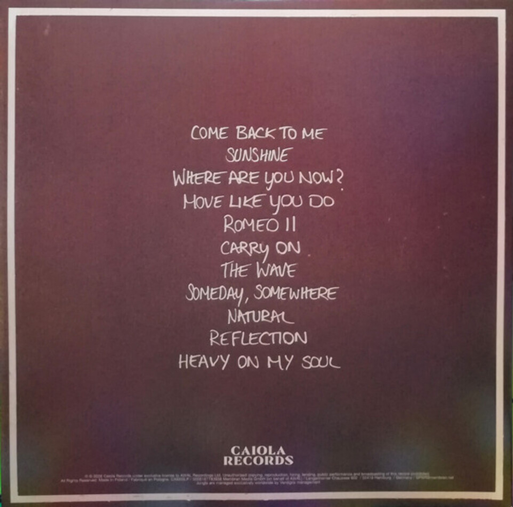 Jungle / Sunshine (LP)