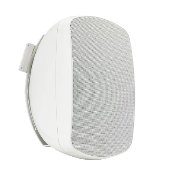 AUDIOPHONY Borneo660W трансляционная АС, 100Вт, динамик 6.5 дюймов