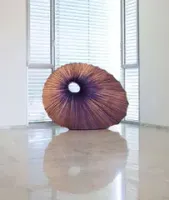 Sikus