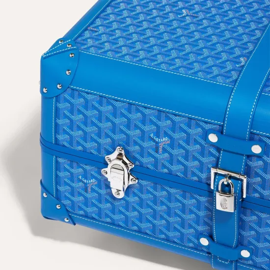 Чемодан Goyard Bourget PM