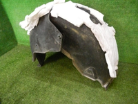 DSCN8198.jpg