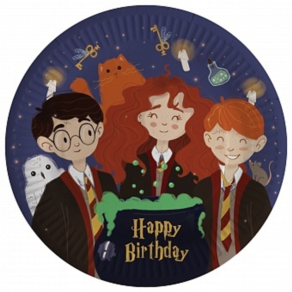 Тарелки (7''/18 см) Волшебники Happy Birthday 6 шт.