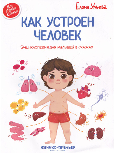 Как Устроен Человек