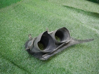 DSCN9949.JPG
