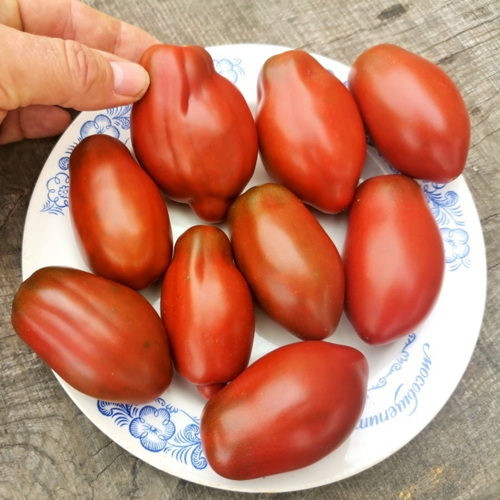 Помидоры Тёмный Космос - Deep Spase Tomato