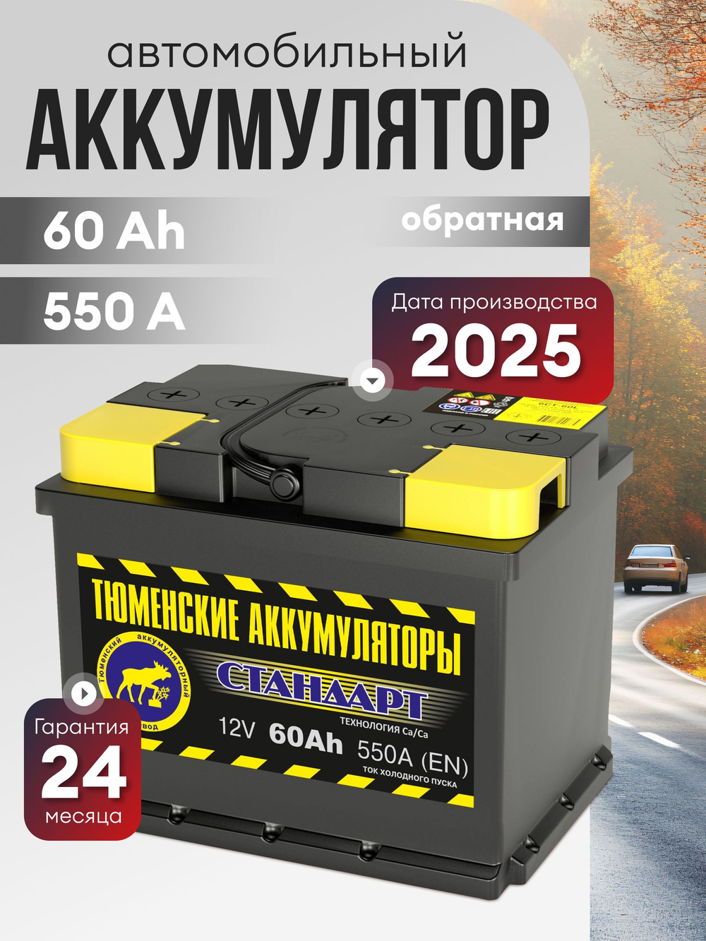 ТЮМЕНЬ Стандарт 60Ah R+