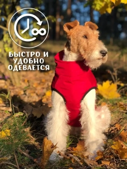 Одежда жилет для собак мелких средних крупных пород