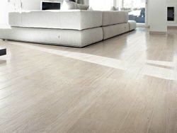 Selection Oak