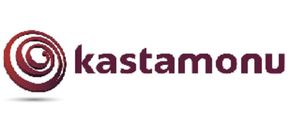 Коллекция Kastamonu Floorpan Purple