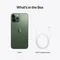Apple iPhone 13 Pro Max 128GB Alpine Green (Альпийский зелёный)