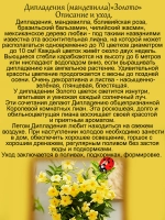 Дипладения Золото мадевилла
