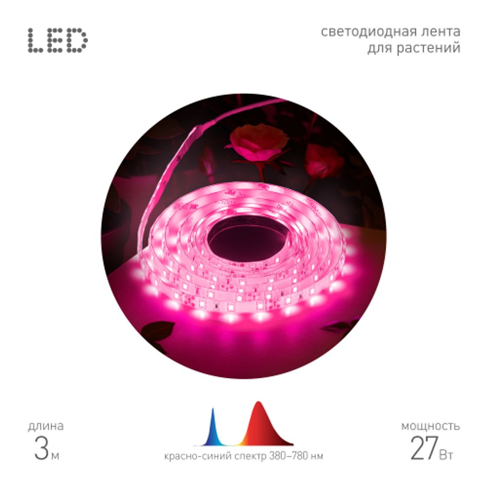 Светодиодная лента для растений ЭРА FITO-Strip Light-RB-27W-3m-12V-IP65 красно-синего спектра 3м IP65 с адаптером 12V | Светодиодные ленты для растений