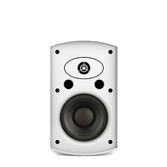 CVGAUDIO RF516TW настенная акустическая система