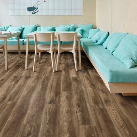 Sierra Oak 58876