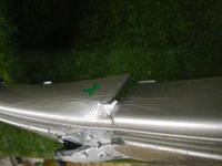 DSCN8143.jpg