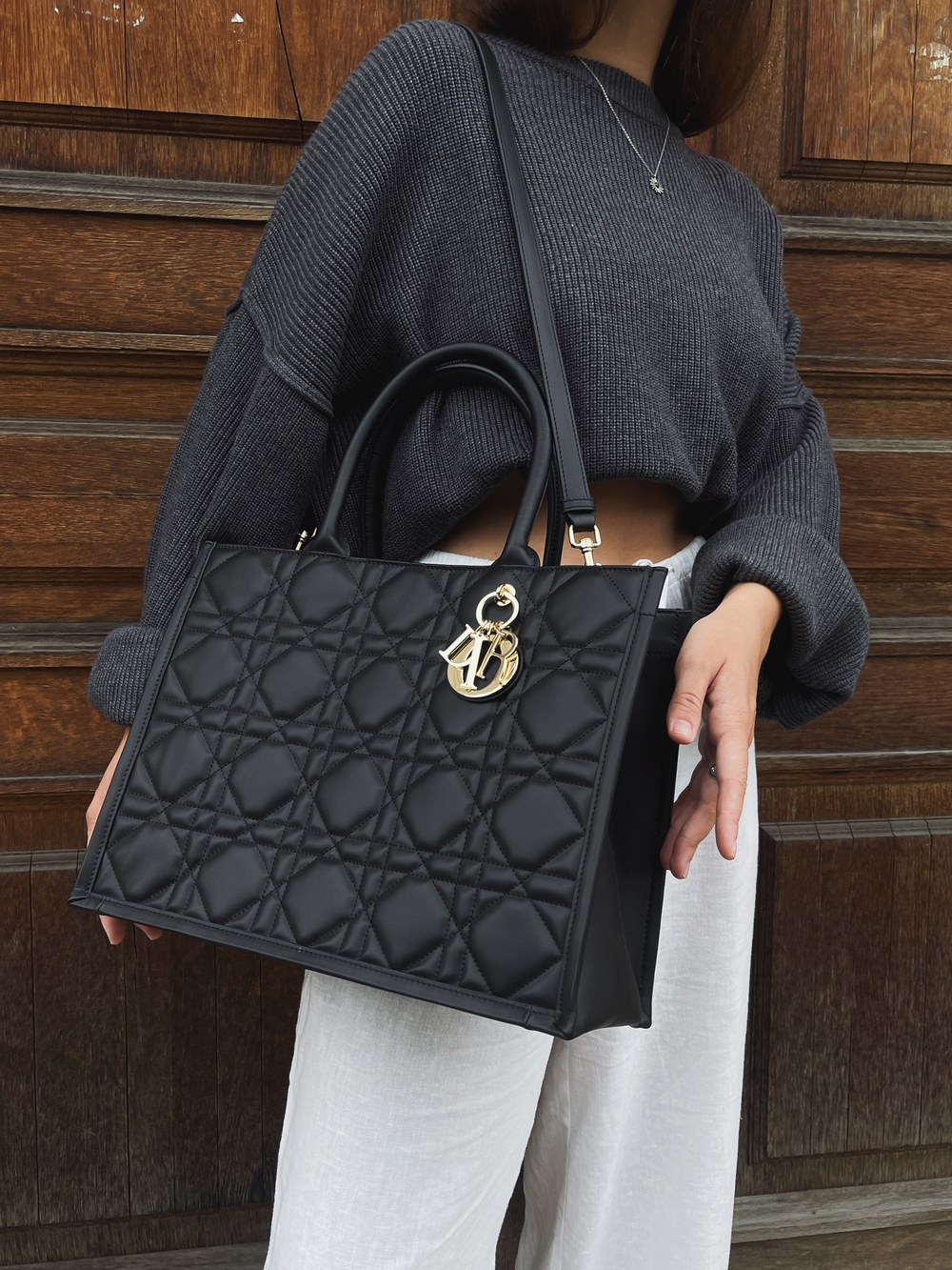 Dior Book Tote Medium