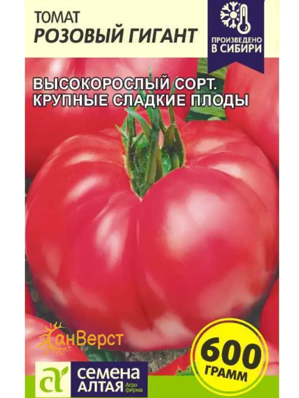 Семена томатов для теплиц. Крупноплодные помидоры