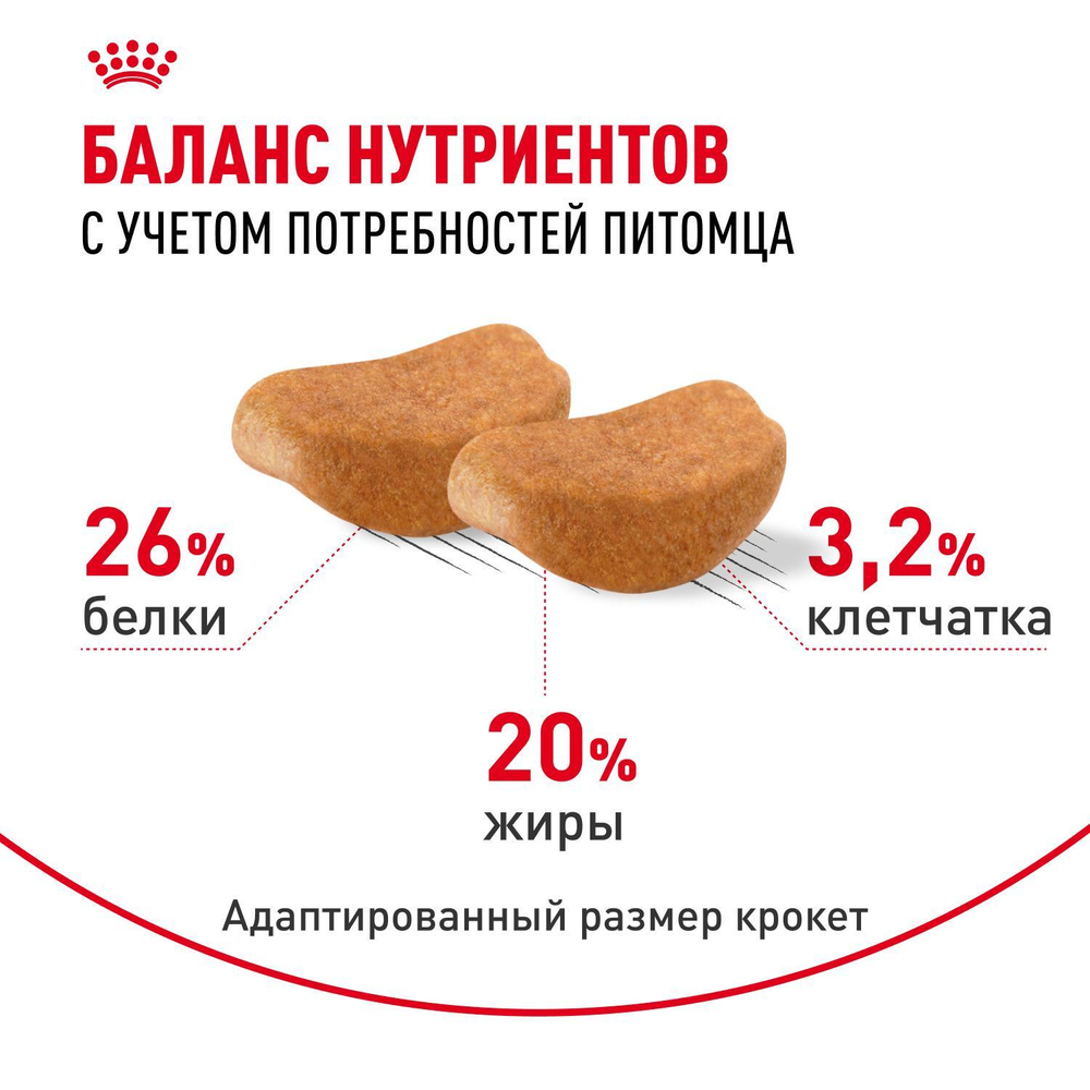 Royal Canin Rottweiller Adult Ротвейлер Эдалт Корм сухой для взрослых собак породы Ротвейлер от 18 месяцев 12кг