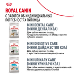 Royal Canin Mini Dermacomfort Мини Дермакомфорт Корм сухой для взрослых собак мелких пород для профилактики раздражения и зуда кожи 3кг