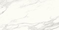Laparet Calacatta Superb Белый Полированный 60x120