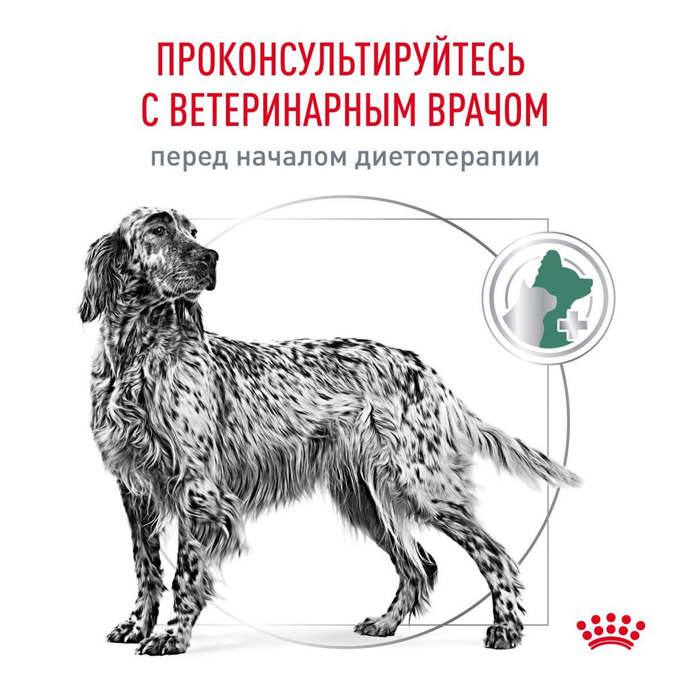 Royal Canin Satiety Weight Management Canine Сэтайети Вейт Менеджмент Канин Корм сухой диета для собак для снижения веса 12кг
