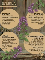 Душица (орегано) соцветия для чая кулинарии и фитосборов.