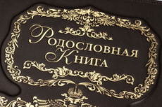 Родословная книга "Изысканная. Летописец" (кожа)