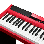 Emily Piano D-20