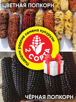 Дикий картофель, 4 сорта