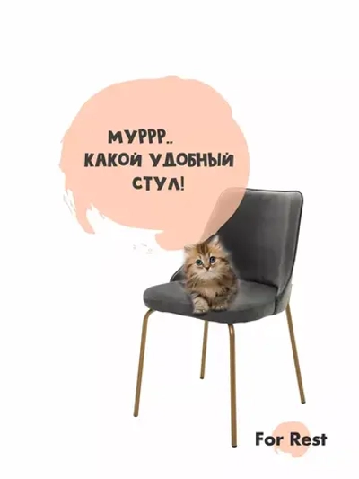 Стул "Флорес" 1 шт. Антивандальная ткань, Золотые ножки