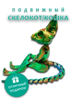 Скелет Кошки
