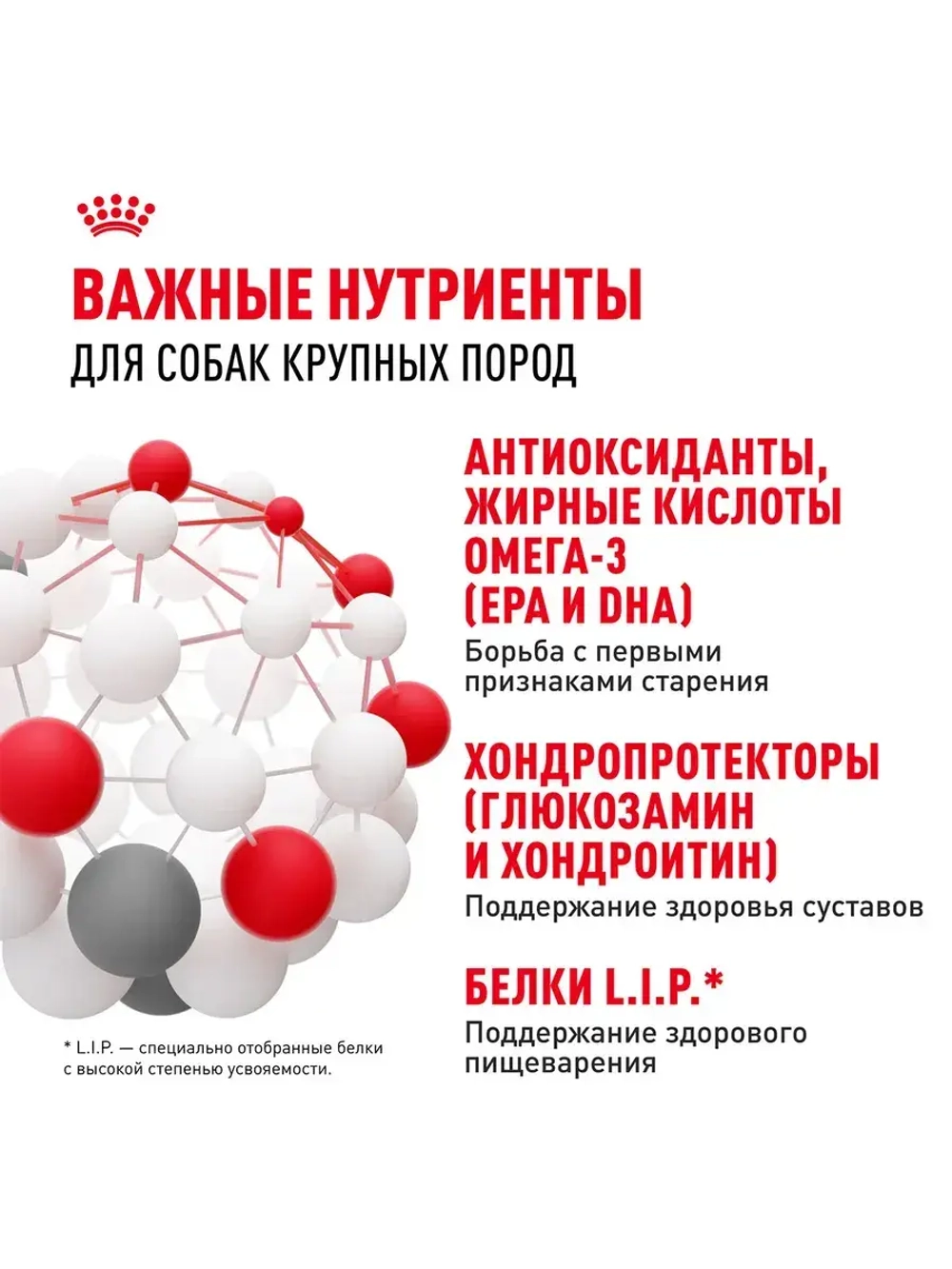 Royal Canin Maxi Adult 8+ (РоялКанин Макси Эджен 8+)для стареющих собак крупных пород (весом от 26 до 44 кг) в возрасте 8 лет и старше 15кг