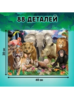 Подарочный набор для детей Животные нашей планеты