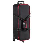 Godox MS300-D