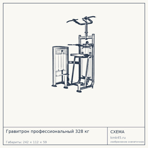Гравитрон профессиональный 328 кг — от 236 000 ₽