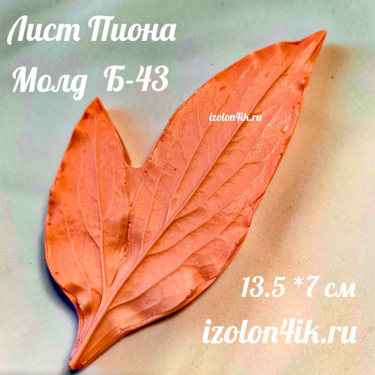 Молд Б-43 Лист Пиона (13,5*7см)