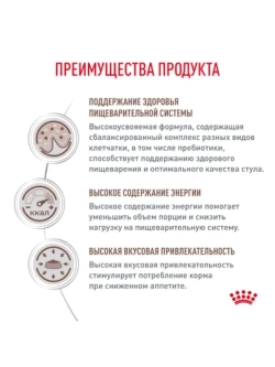 Gastrointestinal 2кг Корм для собак