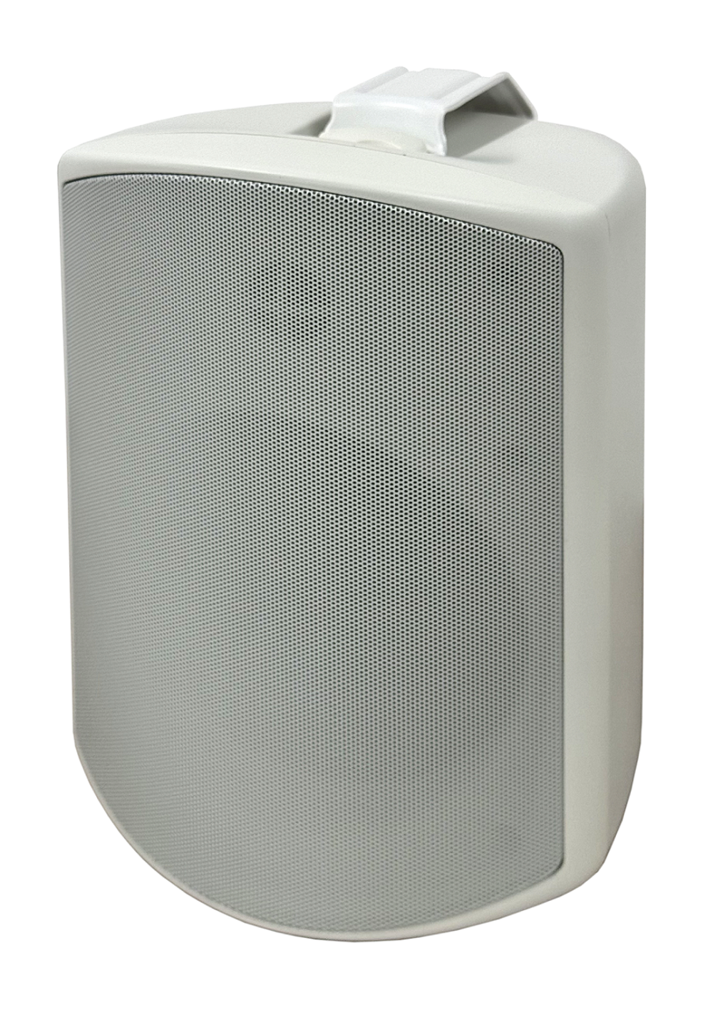 SVS Audiotechnik WSP-6W PRO Всепогодная трансляционная акустическая система