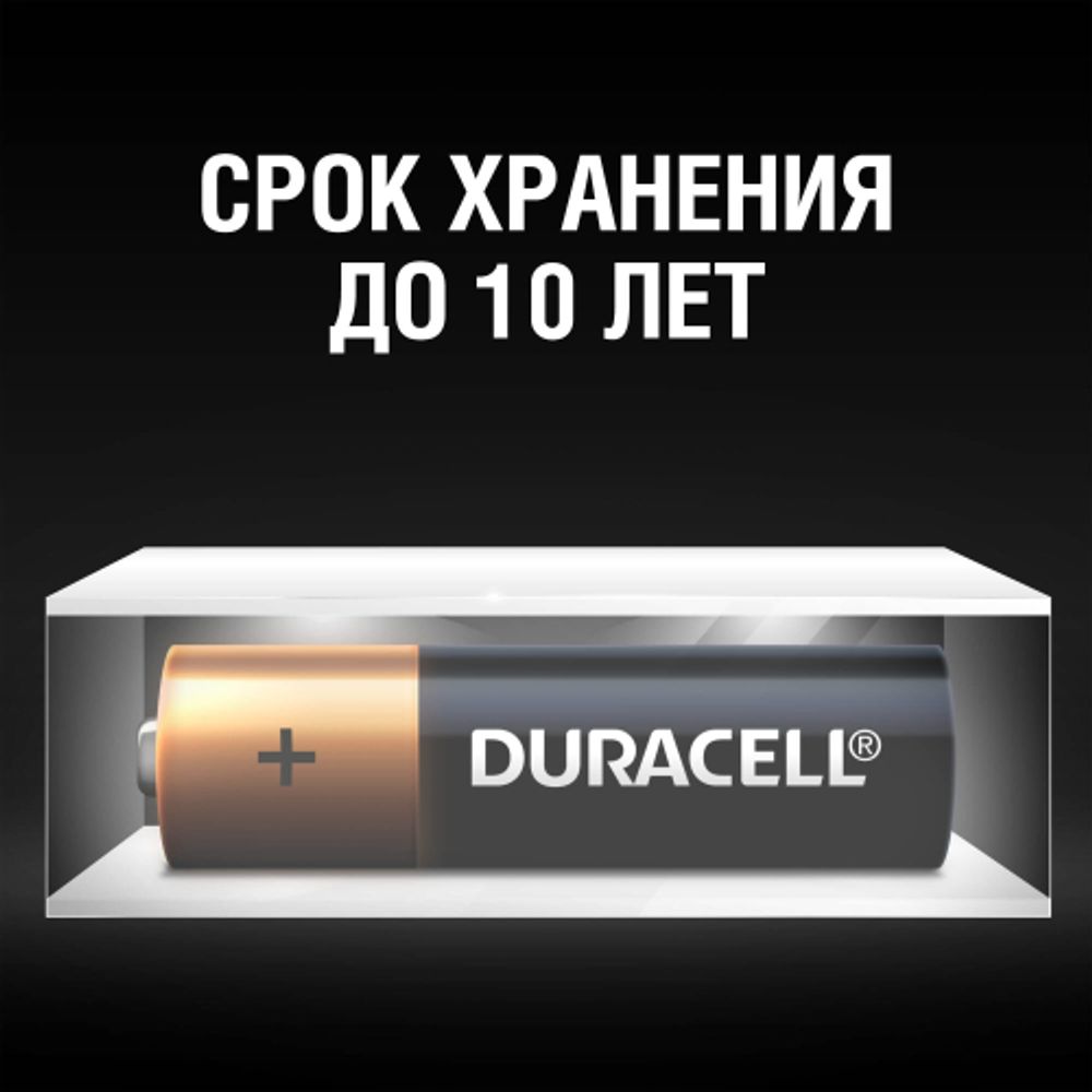 Duracell LR6-8BL BASIC | Батарейки Щелочные (Алкалиновые)