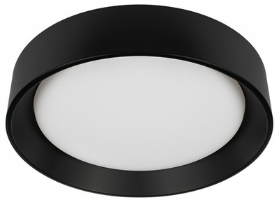 Накладной светильник Loft it Coin 10202 BB