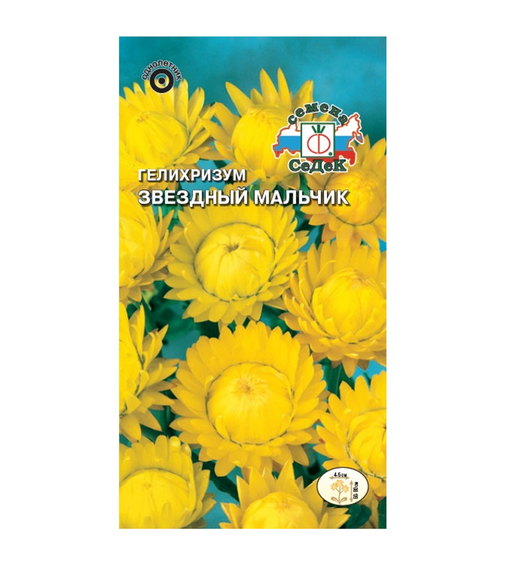 Гелихризум Звездный мальчик (желтый) (Евро, 0,2) *10 СеДек 4607116263839 26.14