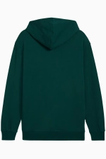 Кофта Puma Sports Legacy Graphic - зеленый