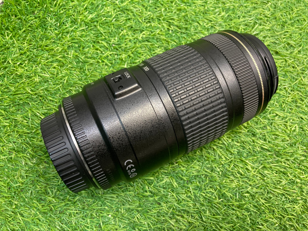 Canon EF 70-300mm 4.0-5.6 IS USM