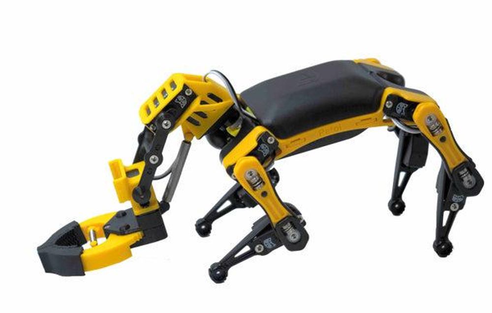 Интерактивный робот-собака Petoi OpenCat Bittle R pre-assembled