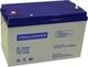 Аккумулятор Challenger EV12-110 ( 12V 110Ah / 12В 110Ач ) - фото 2