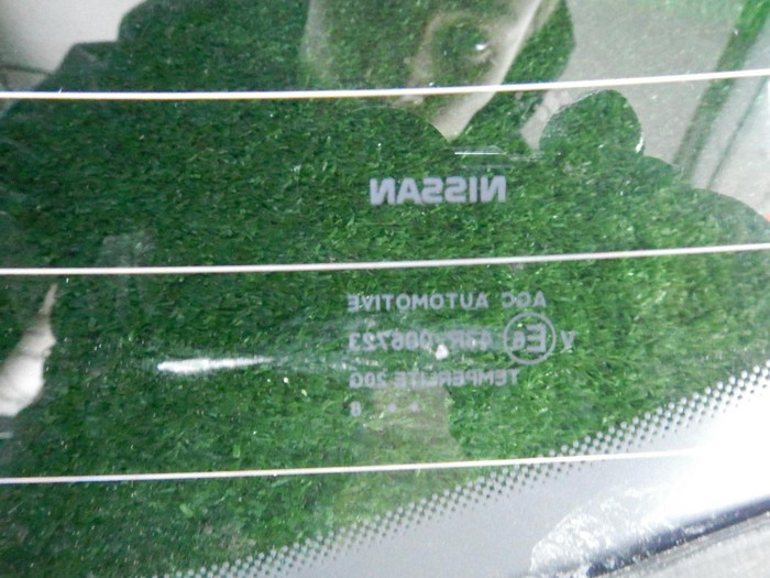 DSCN6973.JPG