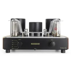 Mastersound Evolution 845 Black Wood
