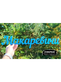 Надпись фамильная или дата для фотосессий под заказ .