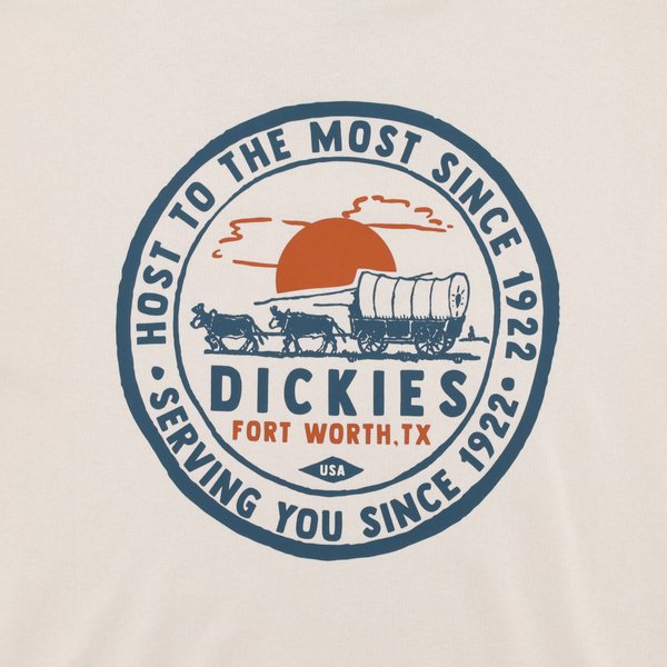 Футболка Dickies Greensburg Graphic T-Shirt (stone whitecap gray) артикул: - купить в магазине Дайс